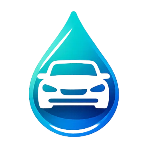 Lavage auto à domicile Palasca